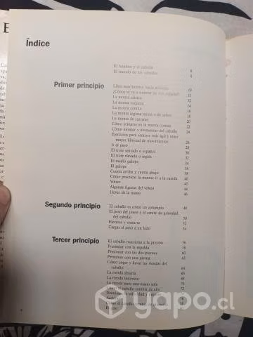 Equitación: Técnicas Básicas y Avanzadas , libro