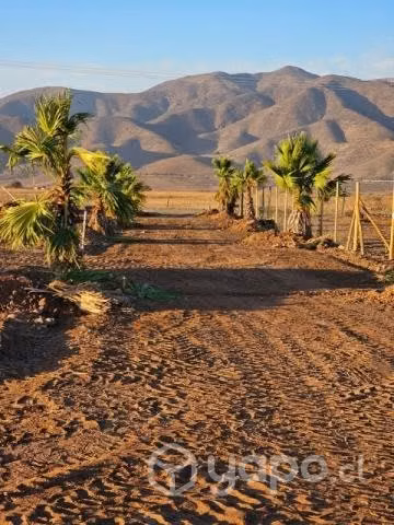 Terreno 5.000 MT2 con rol (sector Santa Catalina)
