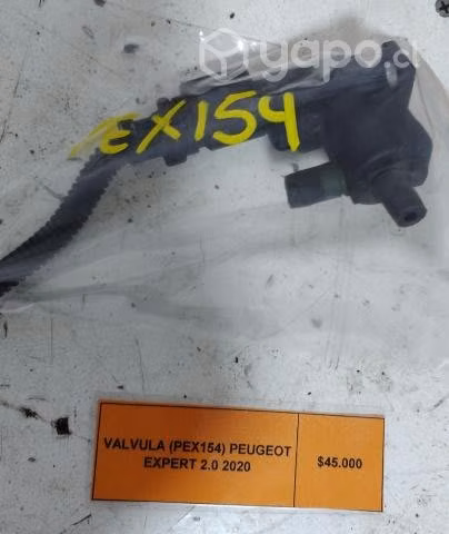 Valvula (PEX154) Peugeot Expert 2.0 2020