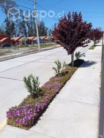 Casa Colina elPino