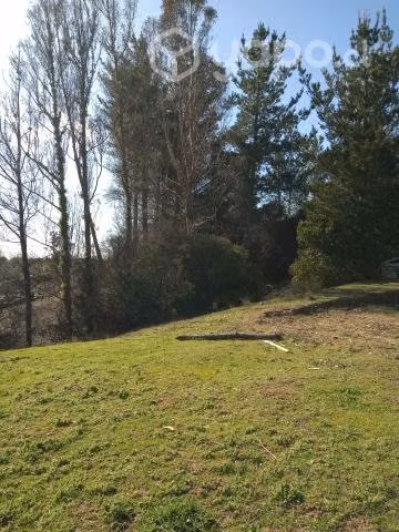 Terreno, 5.000mts, precio conversable