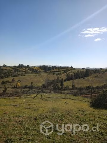 Terreno, 5.000mts, precio conversable