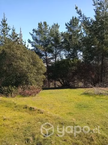Terreno, 5.000mts, precio conversable