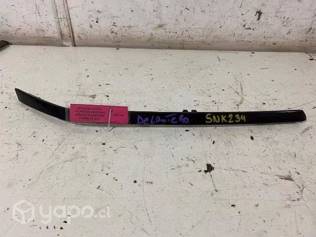 Moldura optico del der (SNK234) Ssangyong Kyron