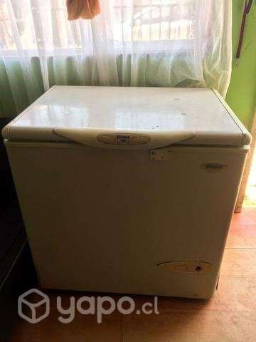 Maquina congeladora - Imagen 4