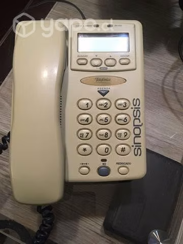 Teléfono visualizador de llamadas