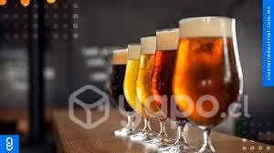 Patente cervecería comuna el bosque al día