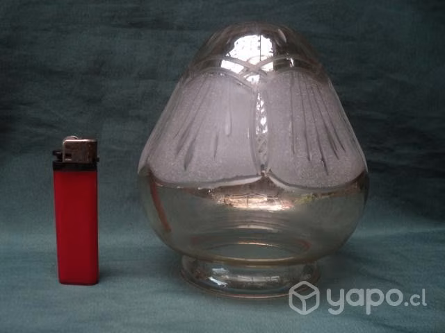 Tulipa Ámbar Tallada, Base 8 Cms