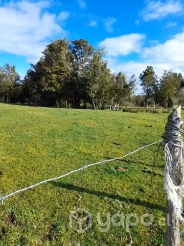 Tres lotes de campo por separados