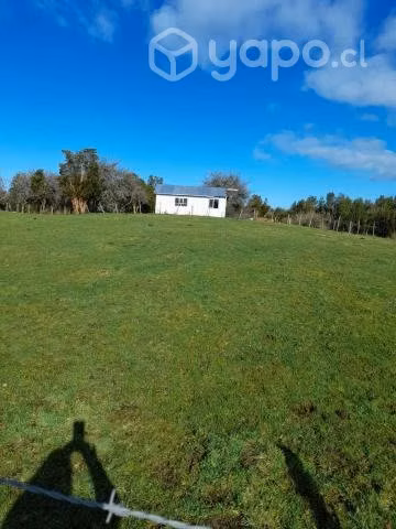 Tres lotes de campo por separados
