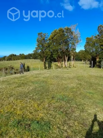 Tres lotes de campo por separados