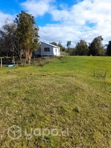 Tres lotes de campo por separados