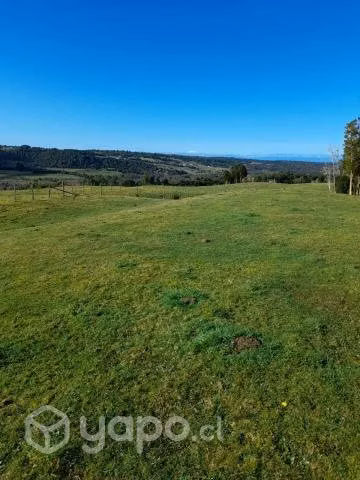 Tres lotes de campo por separados