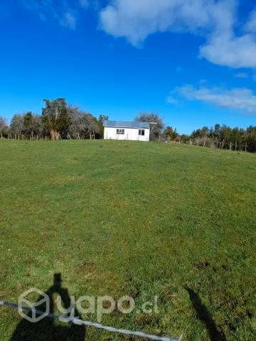 Tres lotes de campo por separados
