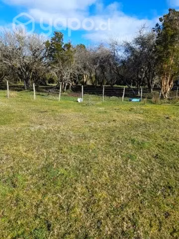 Tres lotes de campo por separados