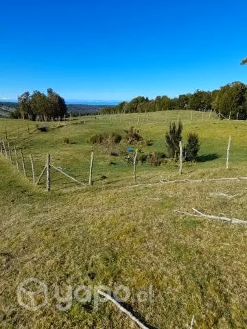 Tres lotes de campo por separados