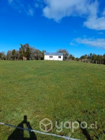 Tres lotes de campo por separados