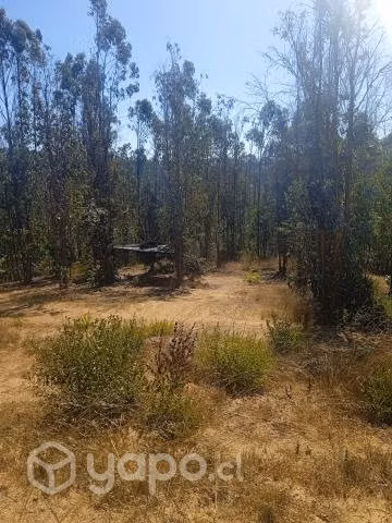 Se vende parcela - Imagen 2