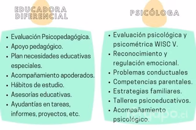 Apoyo profesional/Domicilio