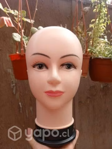 Cabeza /Maniquí