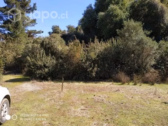 parcela con bosque nativo y vertiente