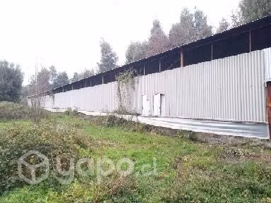 Galpon 1.200 m2 , exelente ubicación,