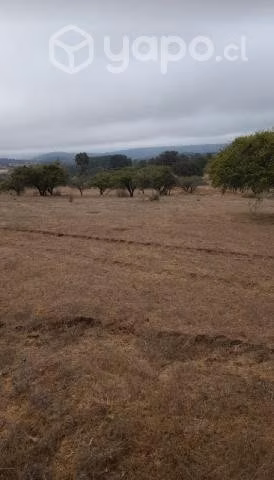 Terrenos