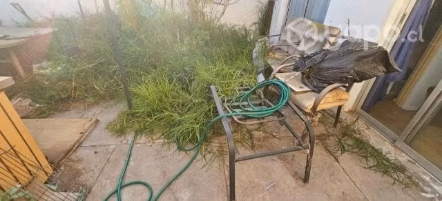 Limpieza de patios