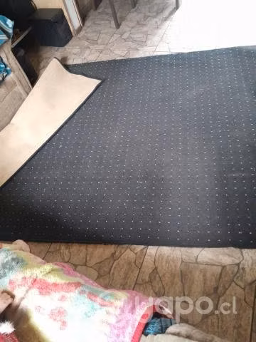 Alfombra