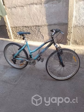 Bicicleta