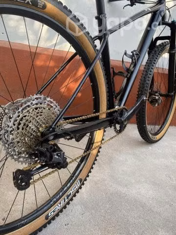 Scott scale 950 año 2021