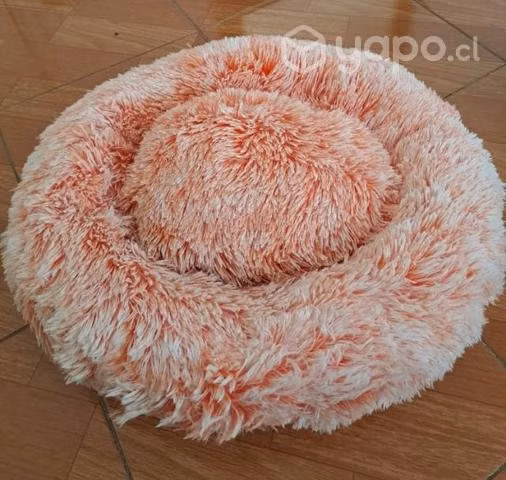 4 productos para gatos - Imagen 3