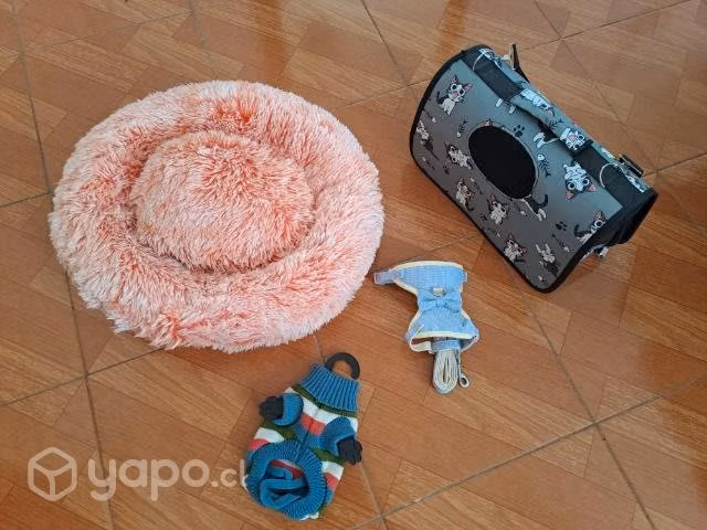 4 productos para gatos