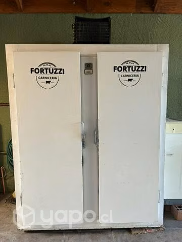 Equipamiento Carniceria para emprender
