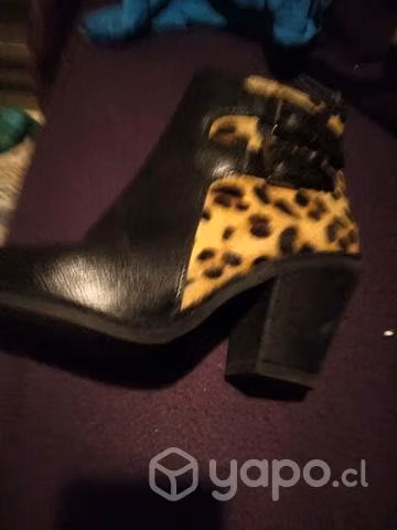 Botines Pollini