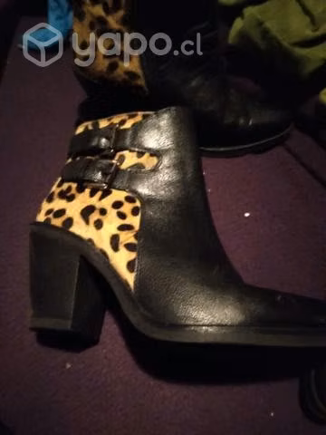 Botines Pollini
