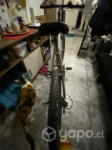 Bicicleta usada - Imagen 3