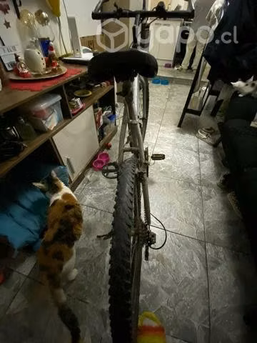 Bicicleta usada - Imagen 4