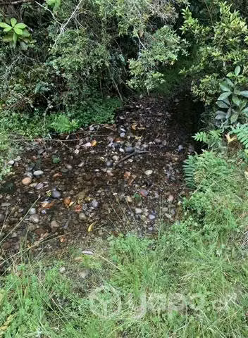 Parcela en Quenchi Chiloe - Imagen 5