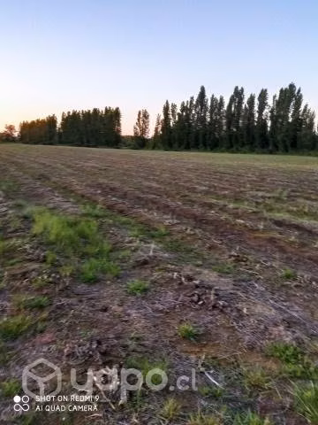 Venta de hermosa parcela