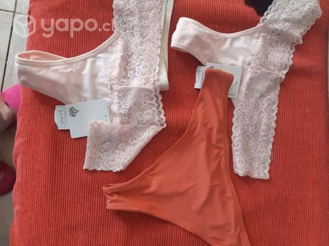 Pantaletas y colales marca