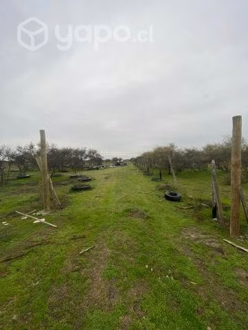 parcela de 1,7has - Imagen 4