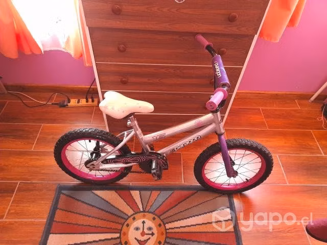 Bicicleta
