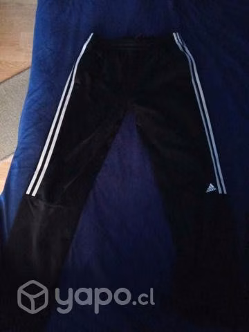 Buzo Adidas