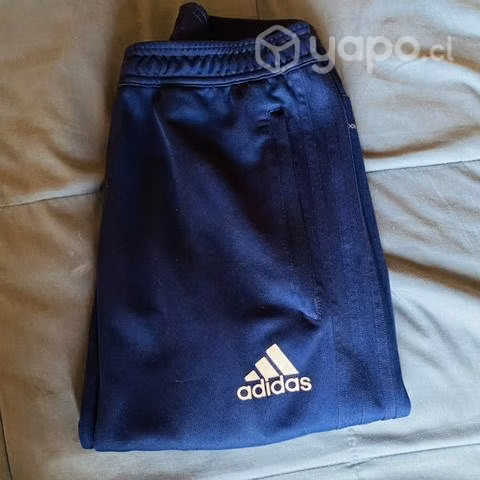 Buzo deportivo