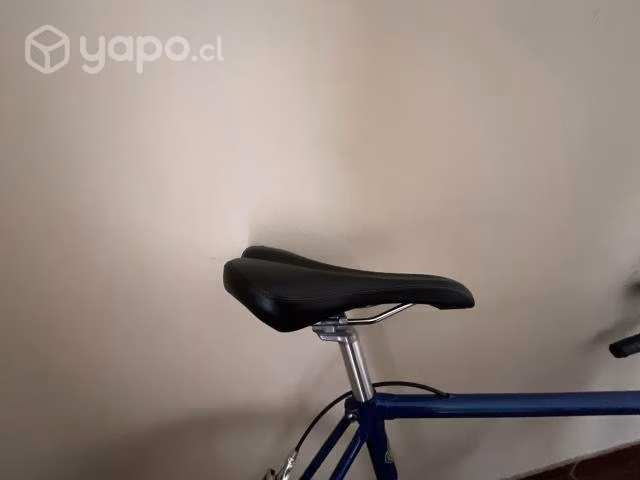 Bicicleta Pistera-Single Speed