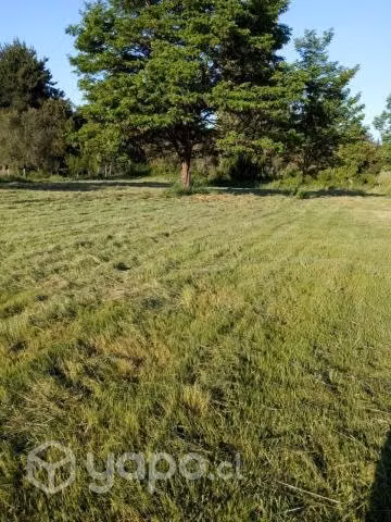 Terreno urbanizado con casa