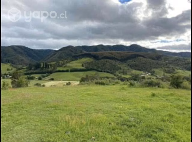 Parcela de 3,5 hectáreas - Imagen 4