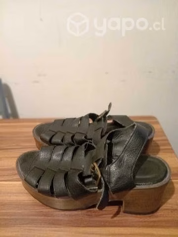Chalas plartaforma Oposite