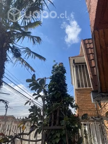 Poda y tala de árboles